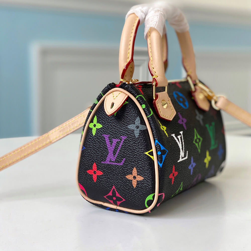 LV Multicolor Nano Speedy Bag