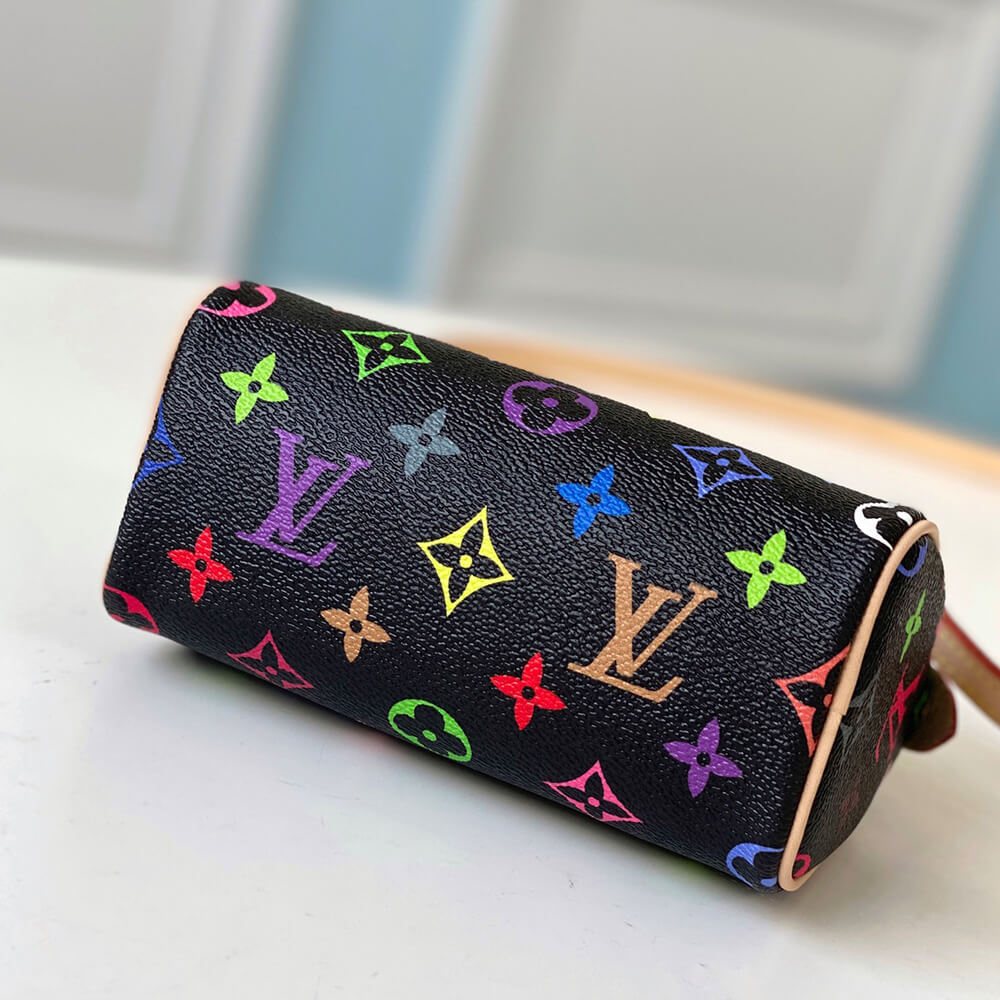 LV Multicolor Nano Speedy Bag